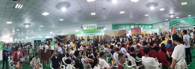 兔寶寶環(huán)保行7月29日蘇州站 綠色裝飾，感恩回饋