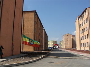 秸稈變環保建材 抗震又防火的建筑黑科技